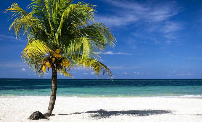 Best of Roatan and Beach
