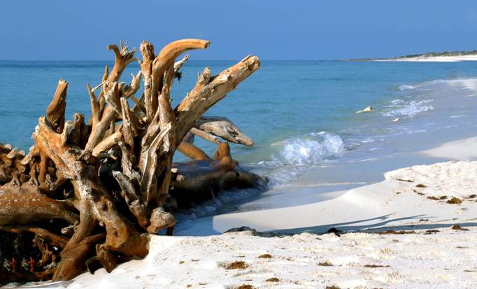 Cozumel Jeep & Beach Cruise Excursion Adventure
