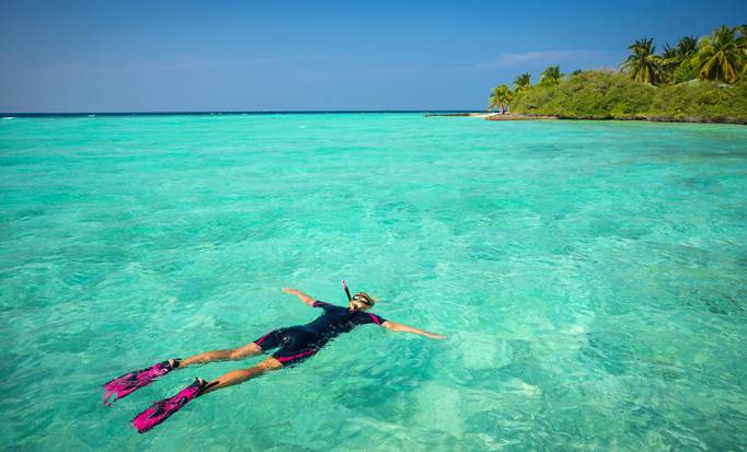 Cozumel Coral Reef Snorkeling & Marine Life Shore Trip