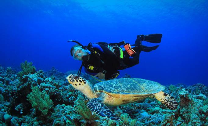 Two Tank Certified Dive with out Equipment